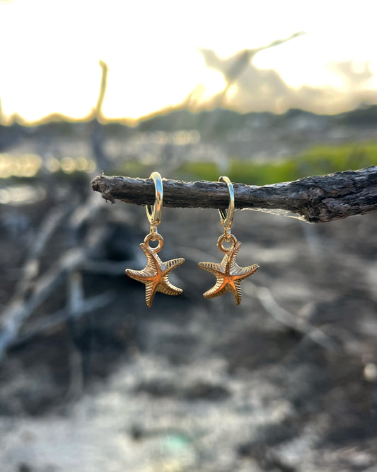 Starfish Earrings