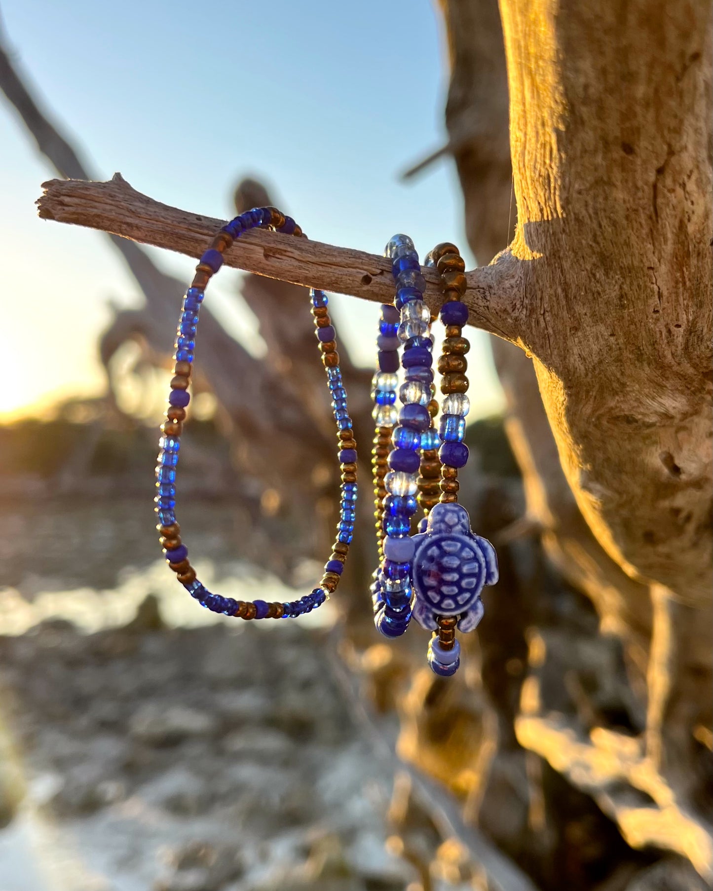 Moody Blues Turtle Set