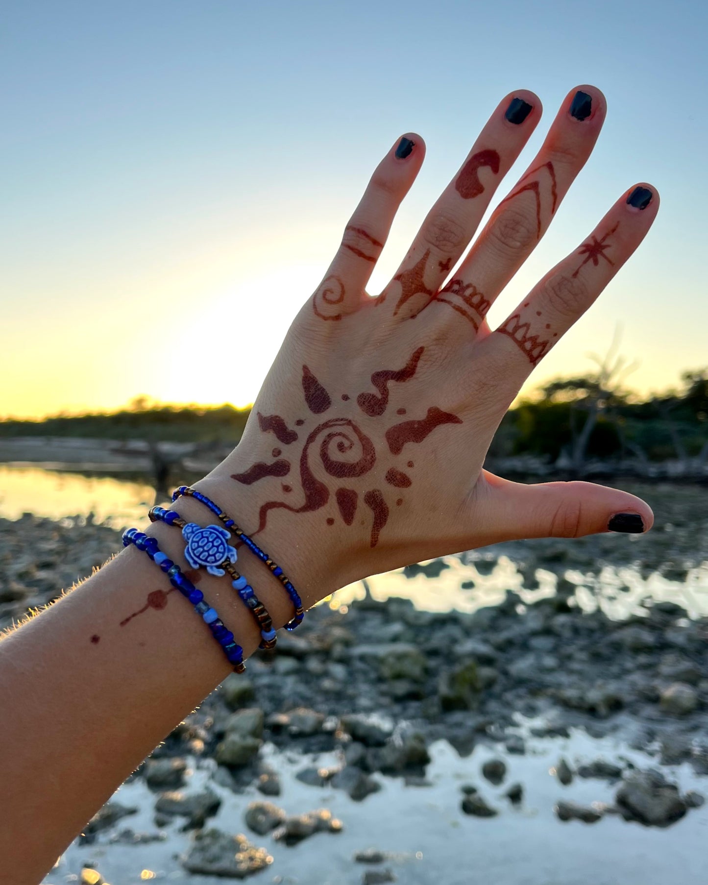 Moody Blues Turtle Set