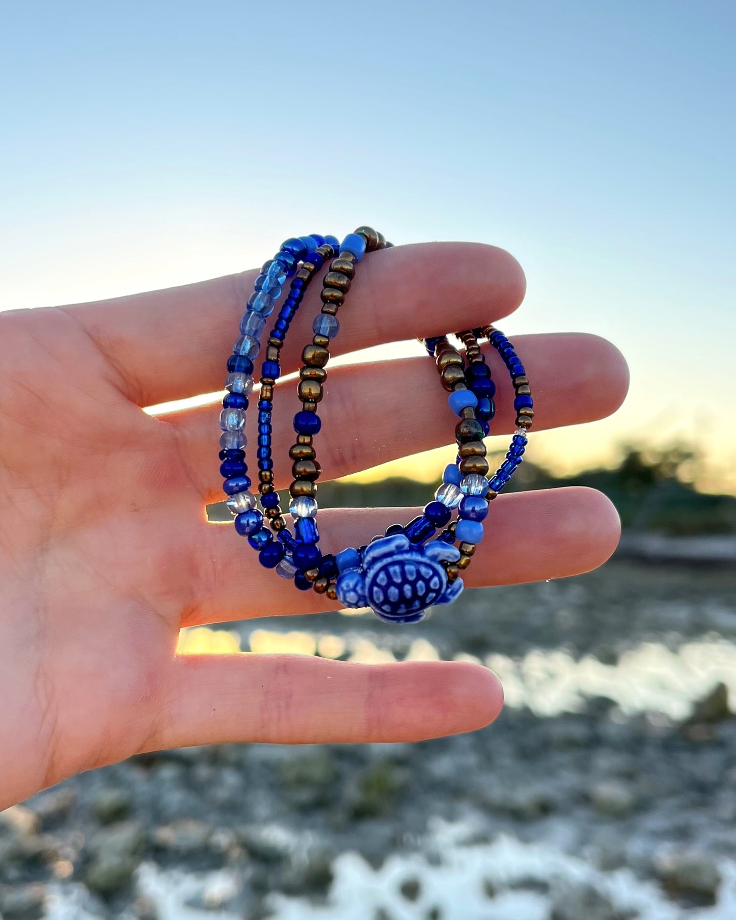 Moody Blues Turtle Set