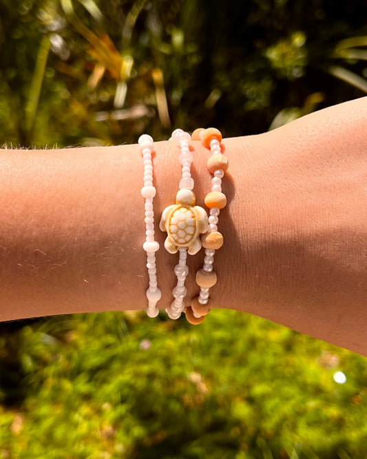 Salt water turtle set