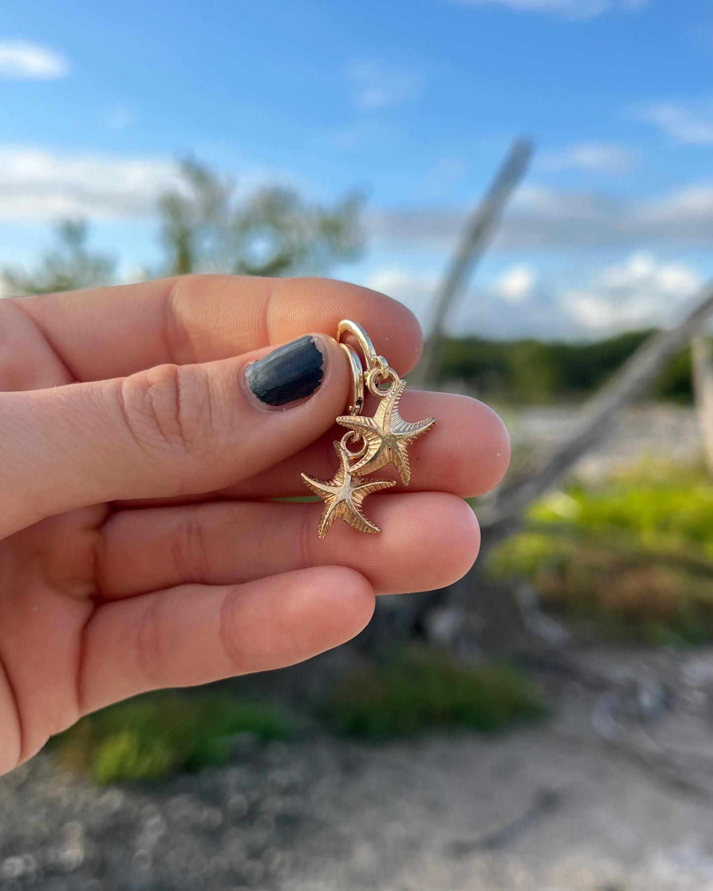 Starfish Earrings